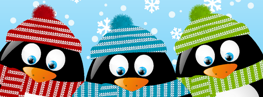 cover-hiver