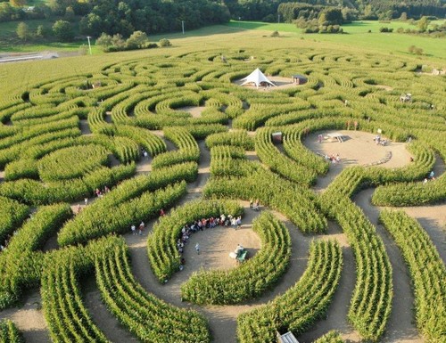 labyrinthe-2014-2