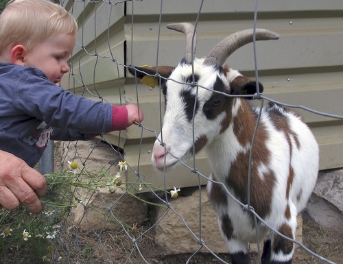 bertrange une rencontre