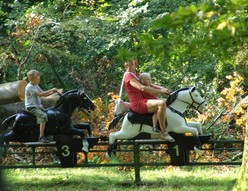 chevaux-parc-merveilleux