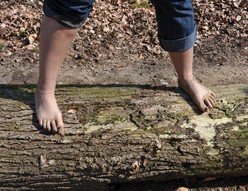 sentier-pieds-nus
