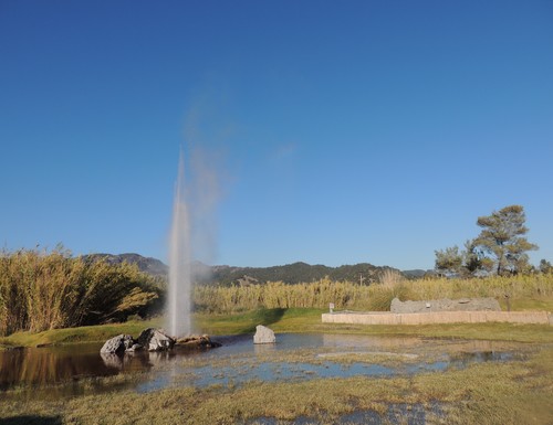 san-francisco-geyser-calistoga