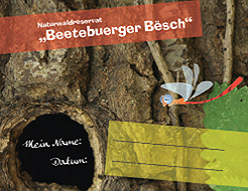 « Waldquiz im Naturwaldreservat Beetebuerger Bësch »