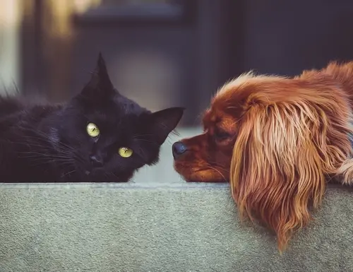 Bientôt les vacances…