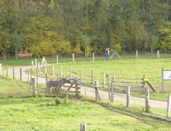 Parc découverte de la nature