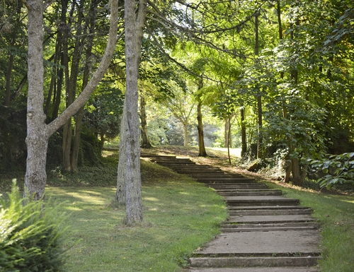 Parc Municipal Gaalgebierg