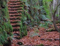 Sentiers Natura 2000