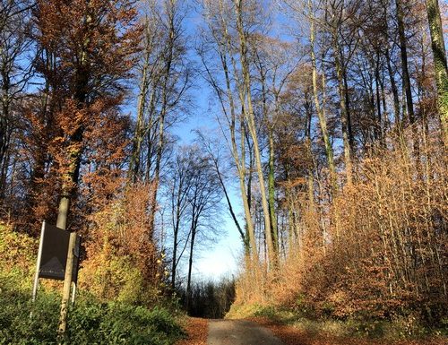 Le Sentier des poètes
