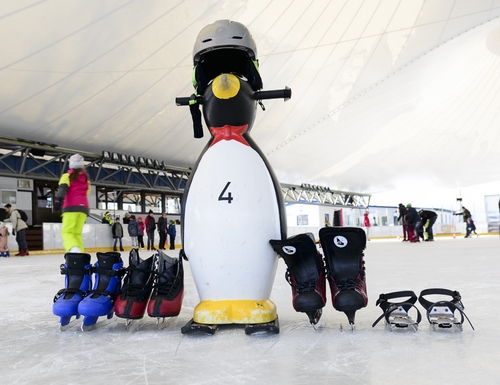 Patinoire de Beaufort
