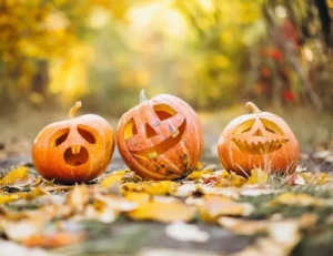 Octobre, le mois des citrouilles