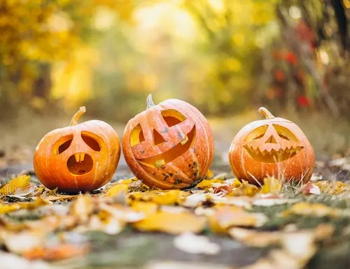Octobre, le mois des citrouilles