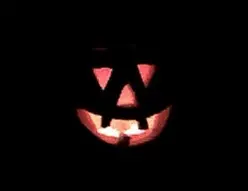 Citrouilles dans la nuit…