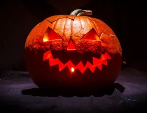 Citrouilles dans la nuit…