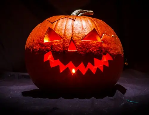 Citrouilles dans la nuit…