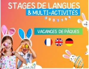 Stage de langues