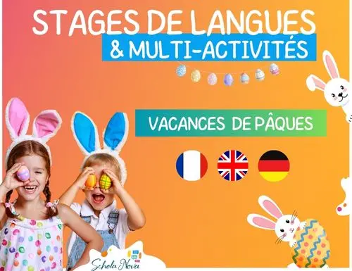 Stage de langues