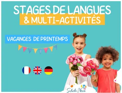 Stage de langues