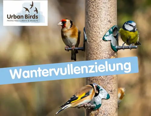 Recensement des oiseaux