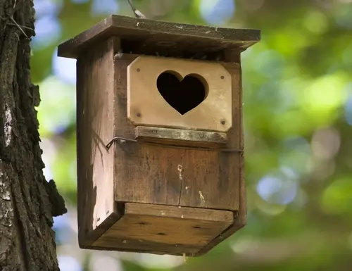Nichoirs: Quelques conseils à suivre