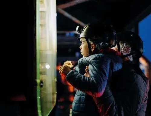 Nocturne de printemps