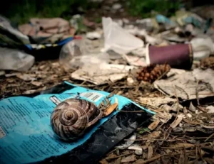 Actions « Grouss Botz »