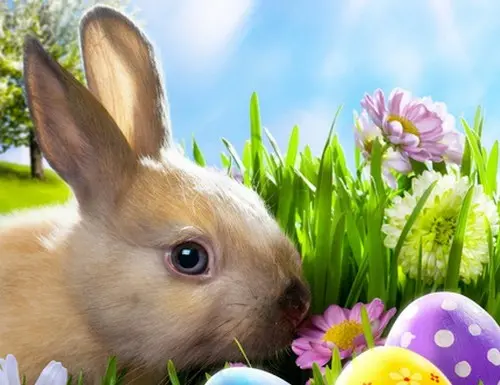 Un nid de Pâques “plus vrai que nature”…