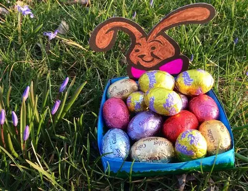 Nid “coupé collé”