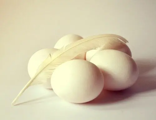 Vider un œuf facilement