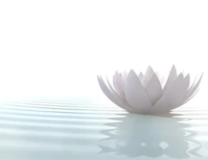 Yoga pour personnes en deuil