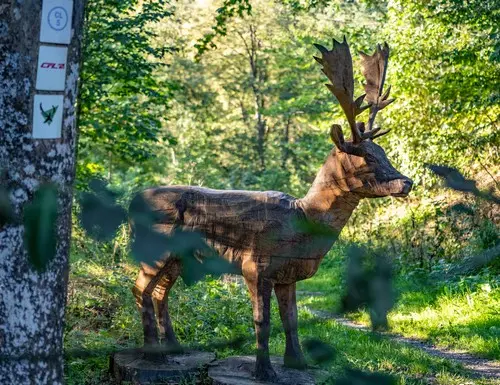 Ancien parc animalier
