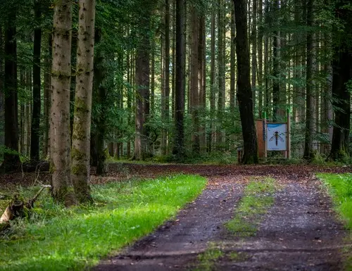 Sentier découverte des insectes