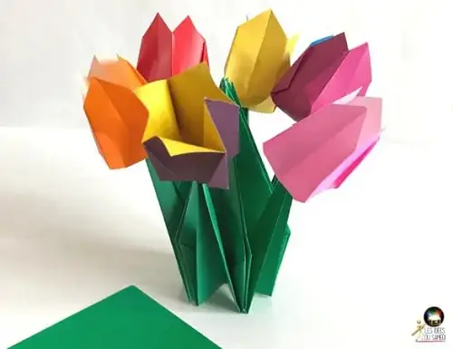 Un joli bouquet de tulipes