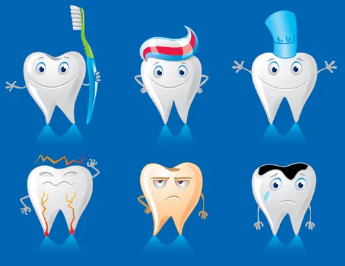 Les dents en prendre soin !