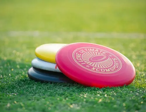 On joue au frisbee ?