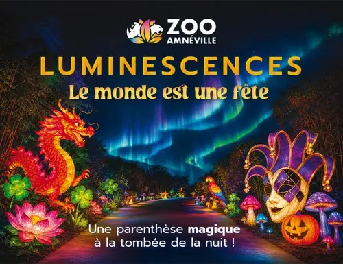 Luminescences