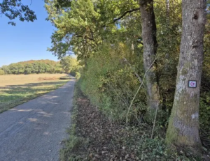 Op der Déckt • Sentier confort